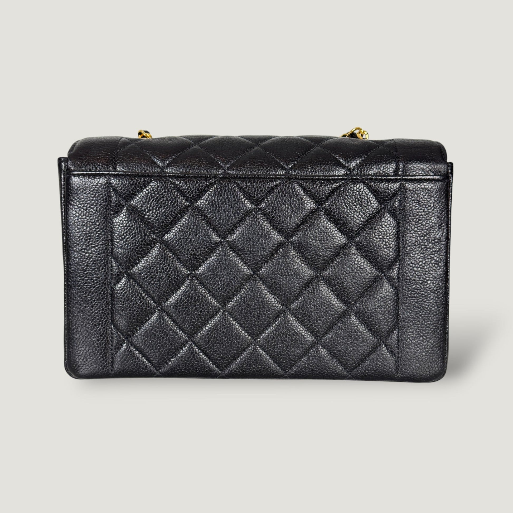 Chanel Diana Handbag Bag - Lynora Bags