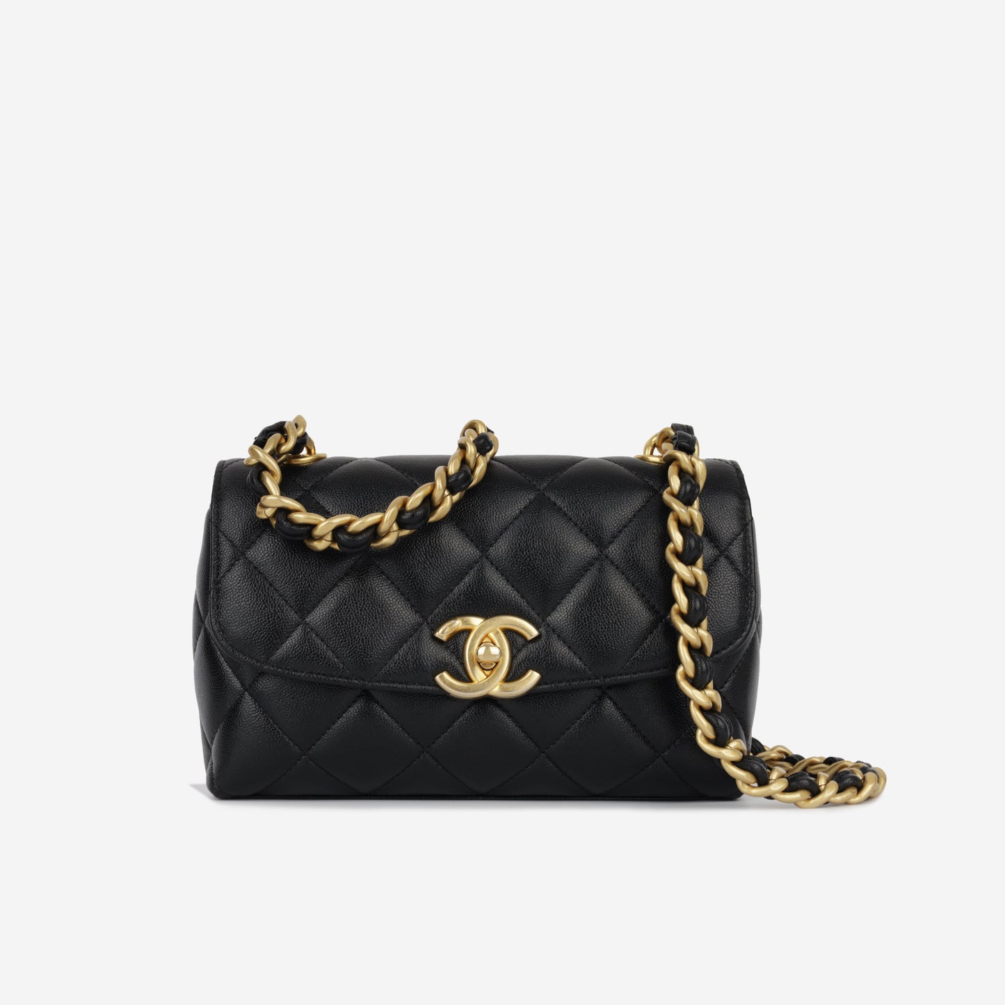 Chanel Seasonal 2023 Flap Bag