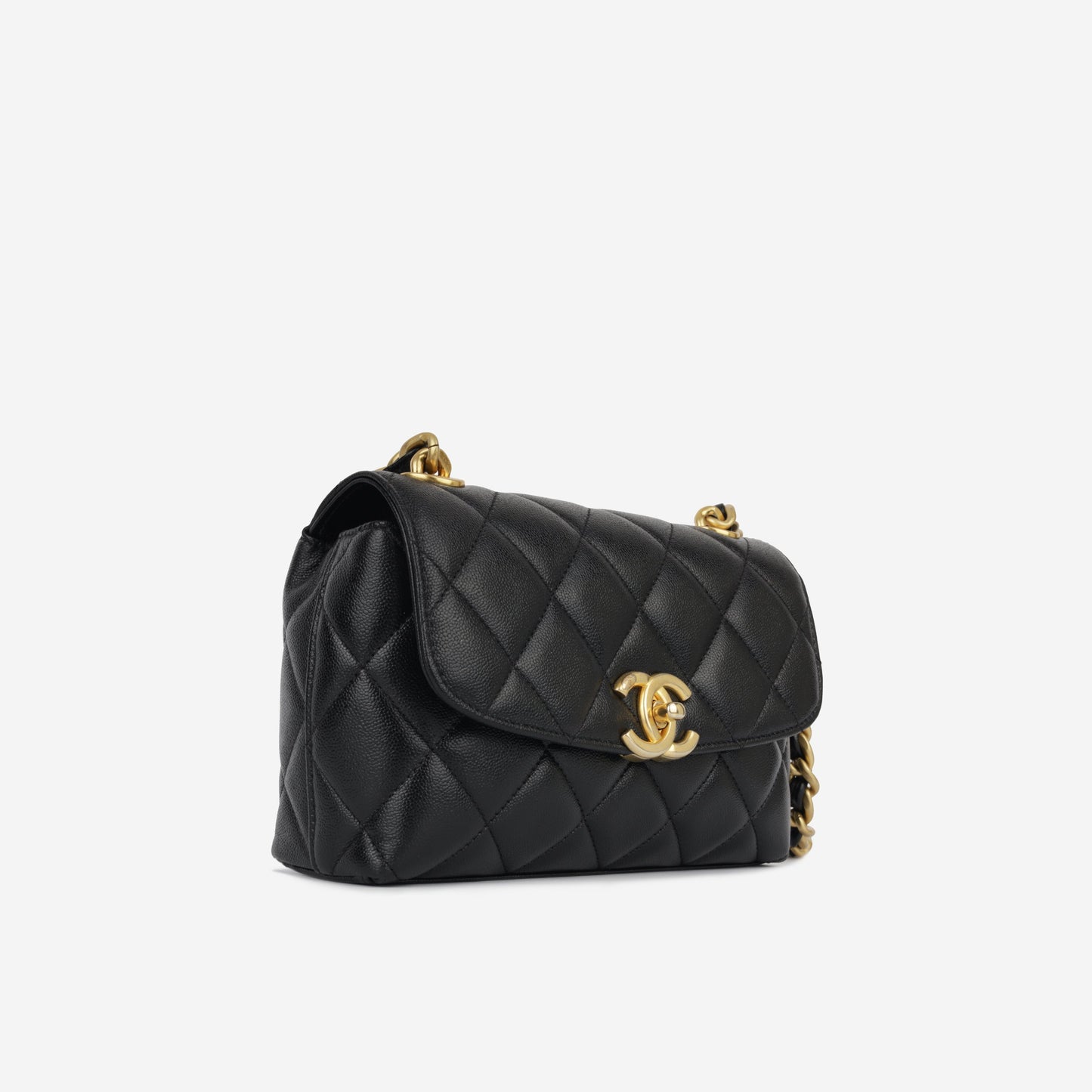 Chanel Seasonal 2023 Flap Bag