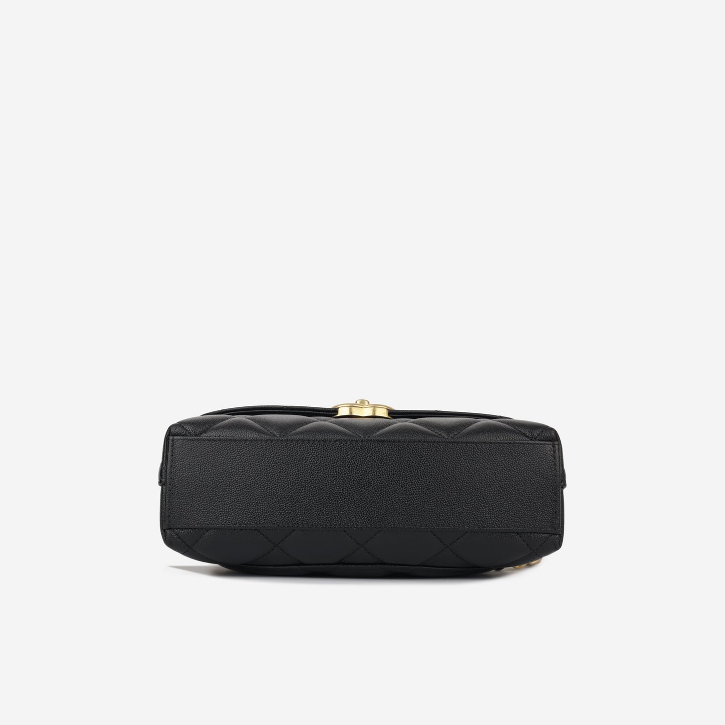 Chanel Seasonal 2023 Flap Bag