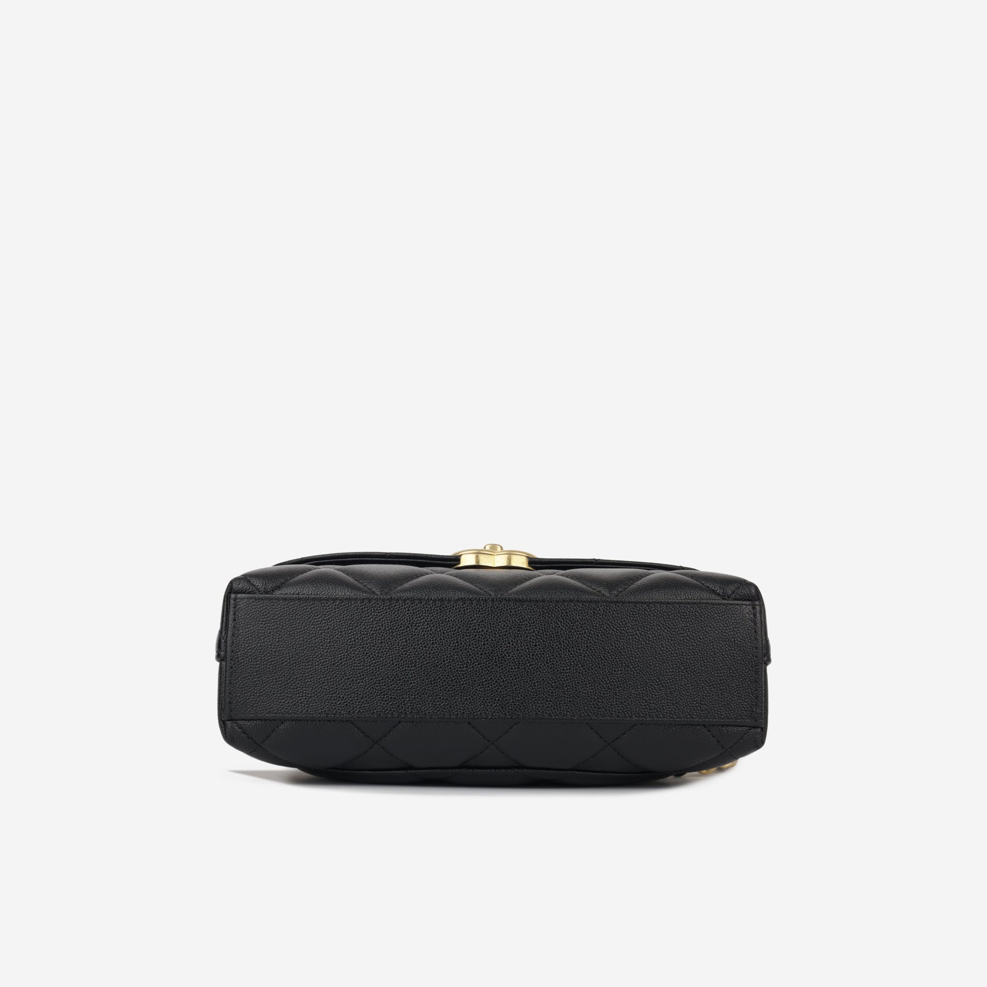 Chanel Seasonal 2023 Flap Bag