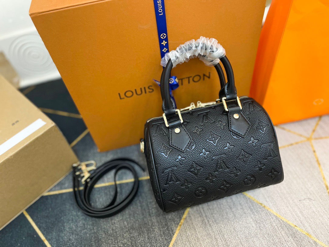 Louis Vuitton Mini Handbag