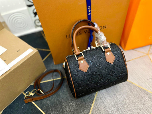 Louis Vuitton Mini Handbag