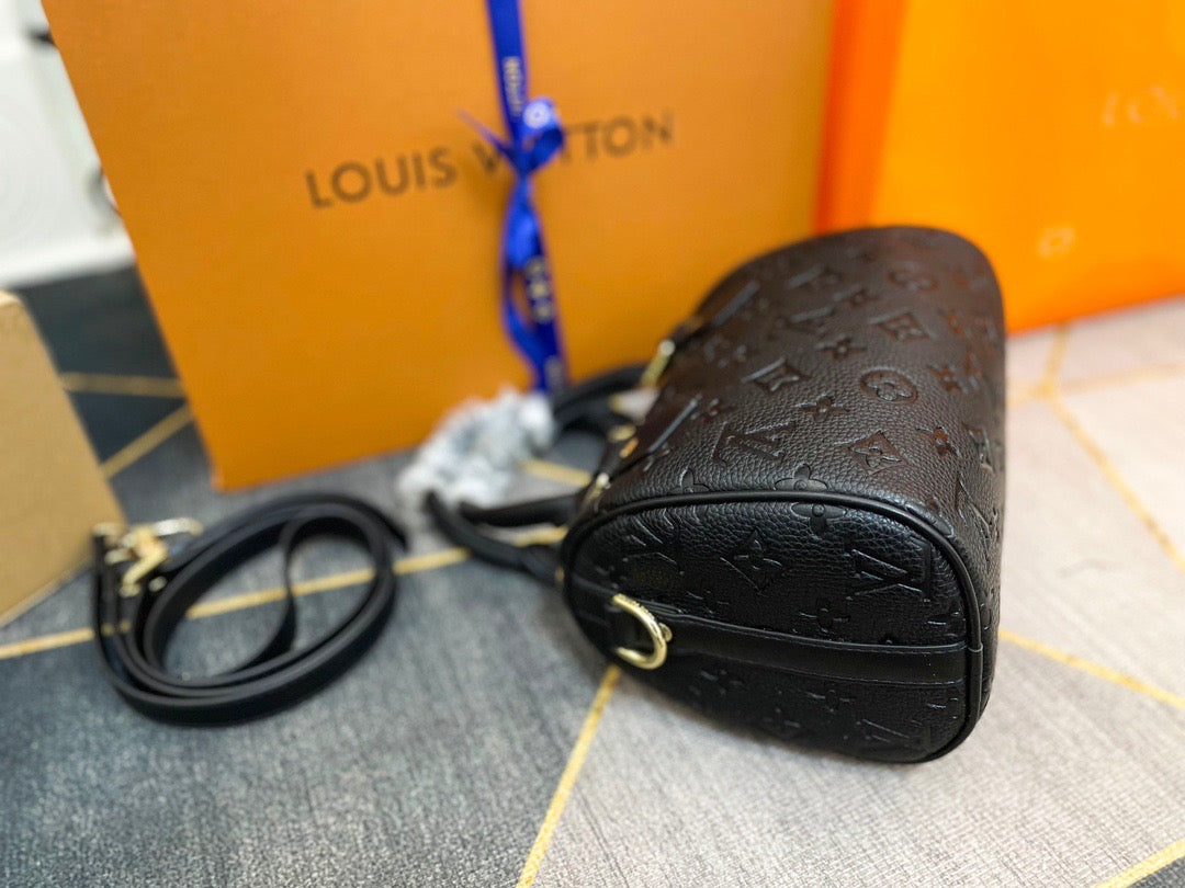 Louis Vuitton Mini Handbag