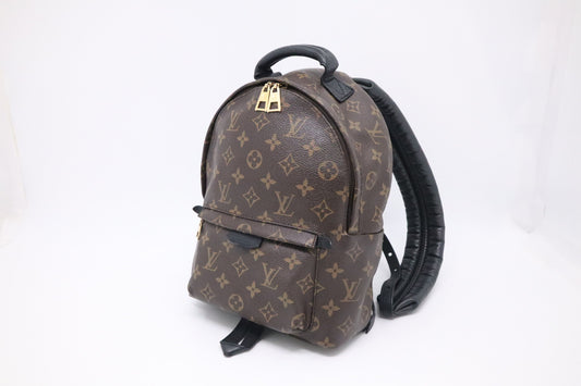 Louis Vuitton Palm Springs Backpack PM in Monogram Canvas