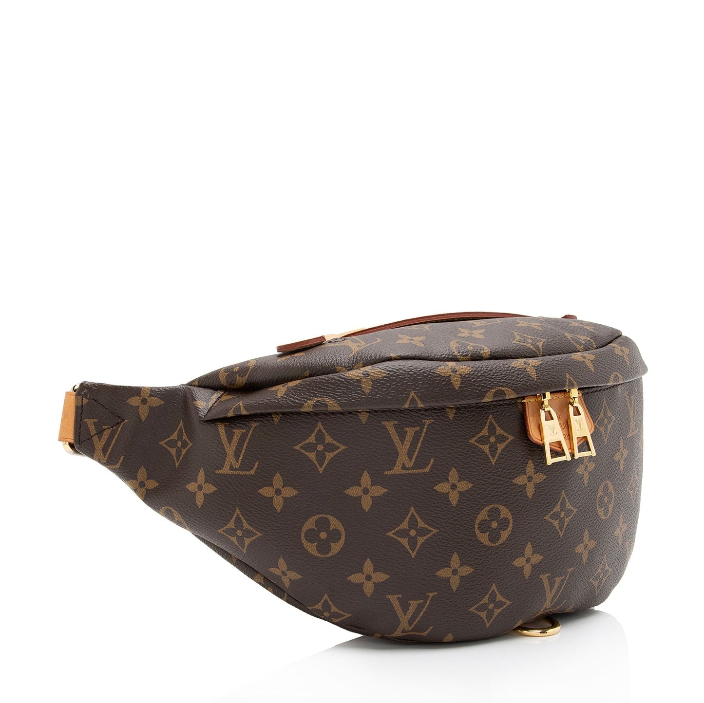 Louis Vuitton Monogram Canvas Bumbag (SHF-NGDAHd)