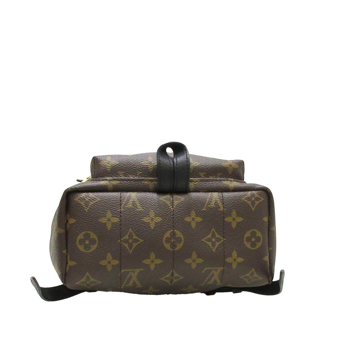 Louis Vuitton Monogram Palm Springs PM (SHG-Nyf1CL)