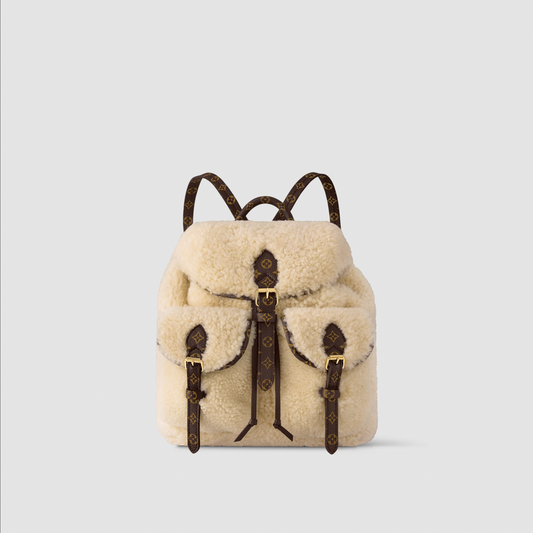Louis Vuitton Backpack LV SKI