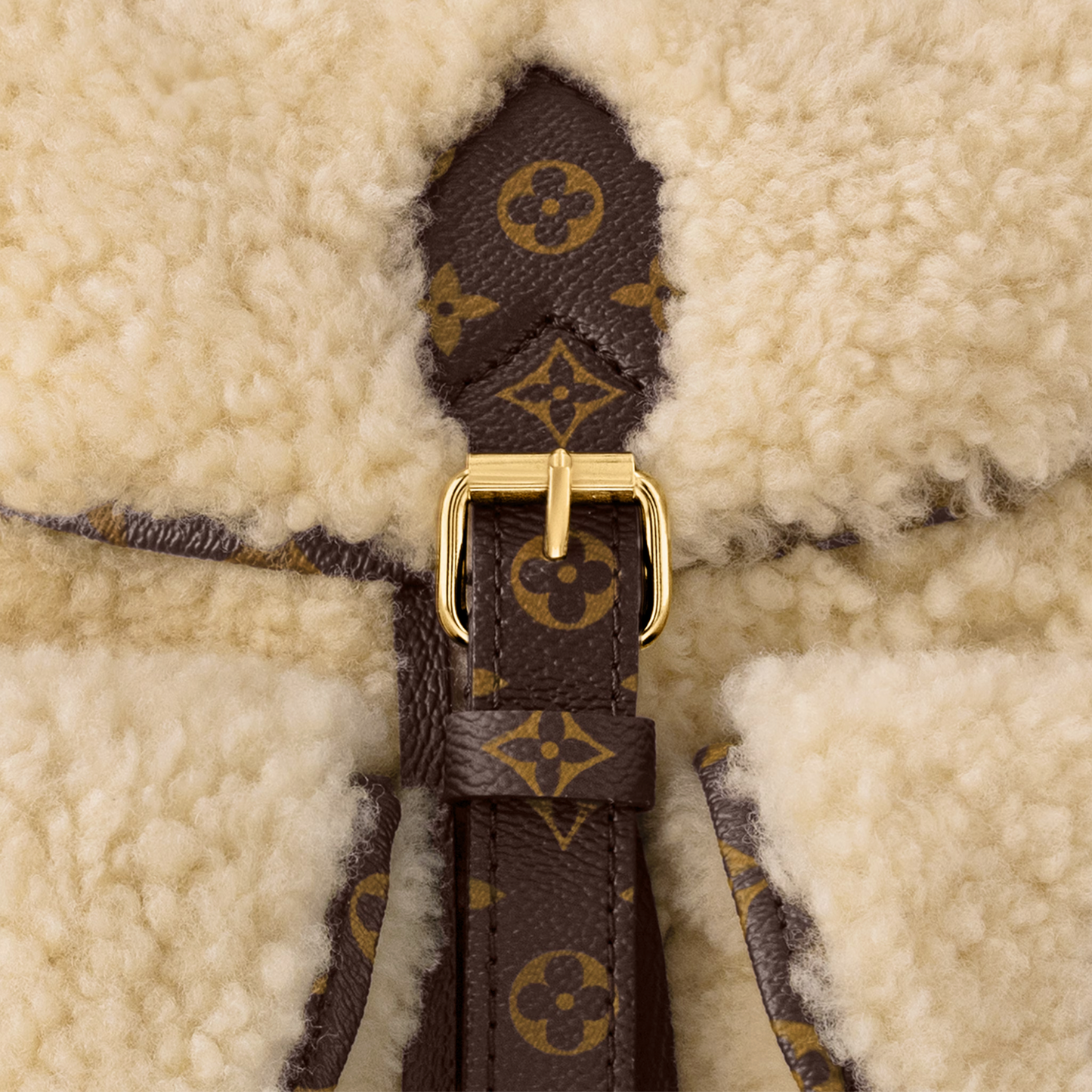Louis Vuitton Backpack LV SKI