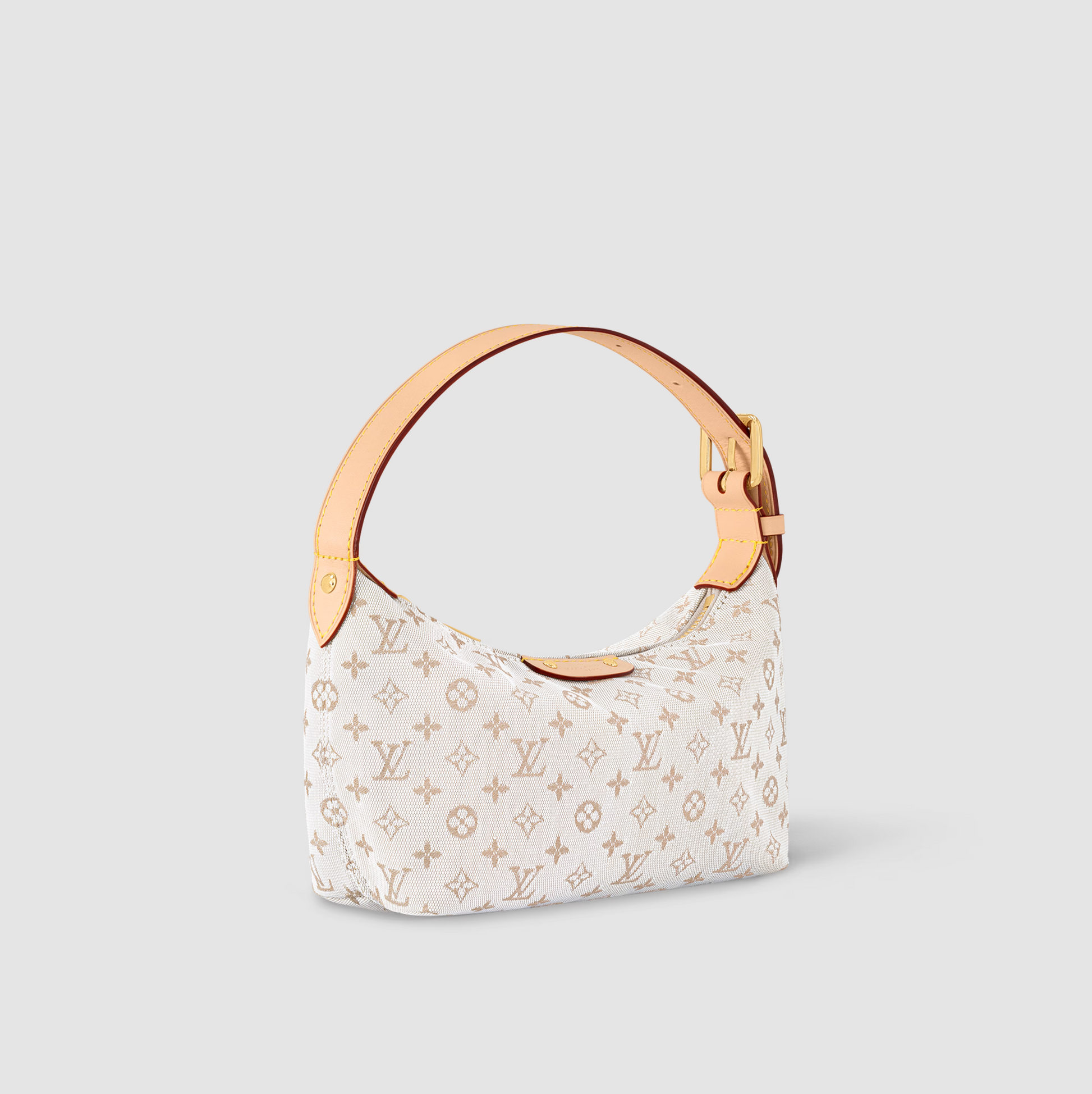 Louis Vuitton Hills Pochette Crossbody
