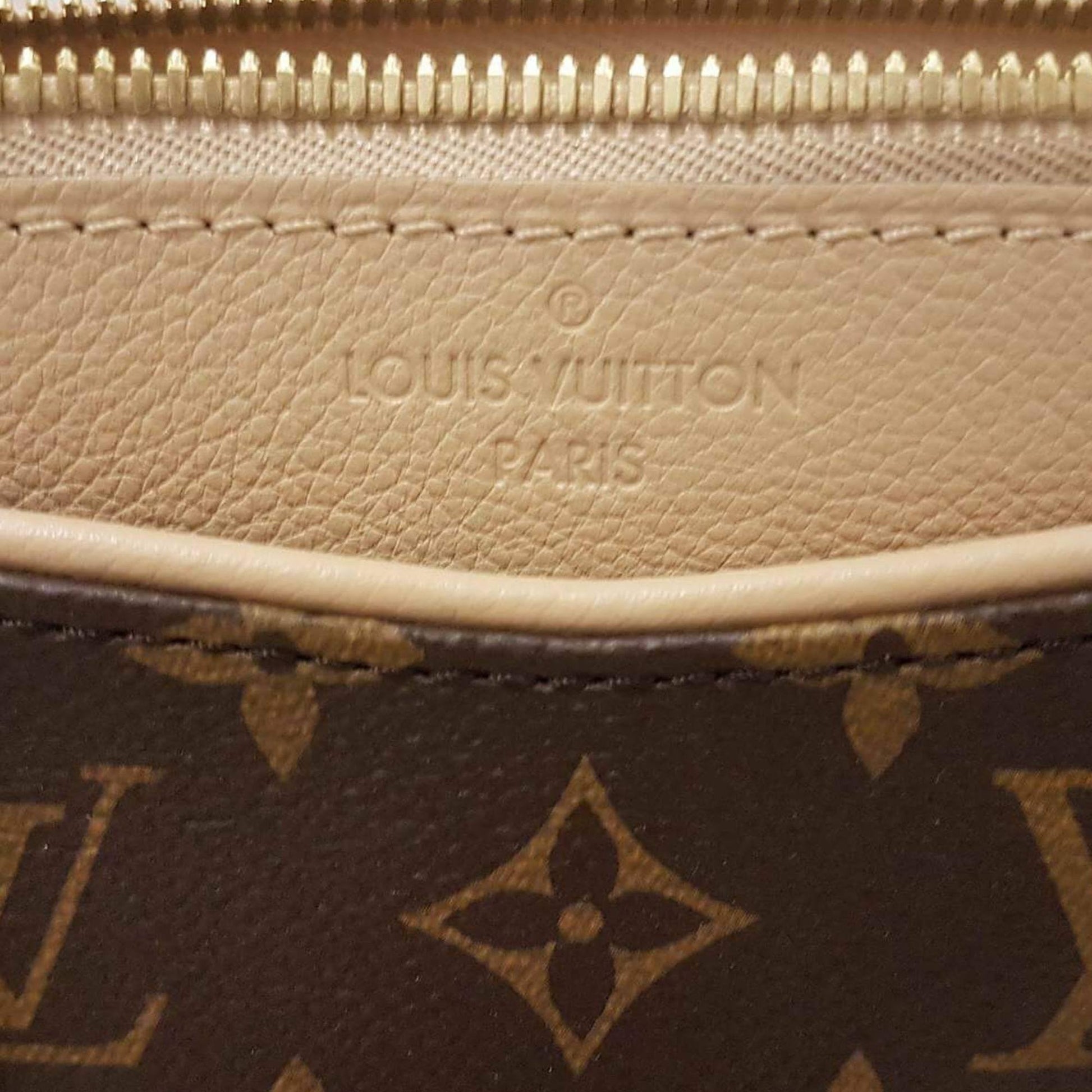 Louis Vuitton | Canvas Monogram Pallas Dune | MM Crossbody