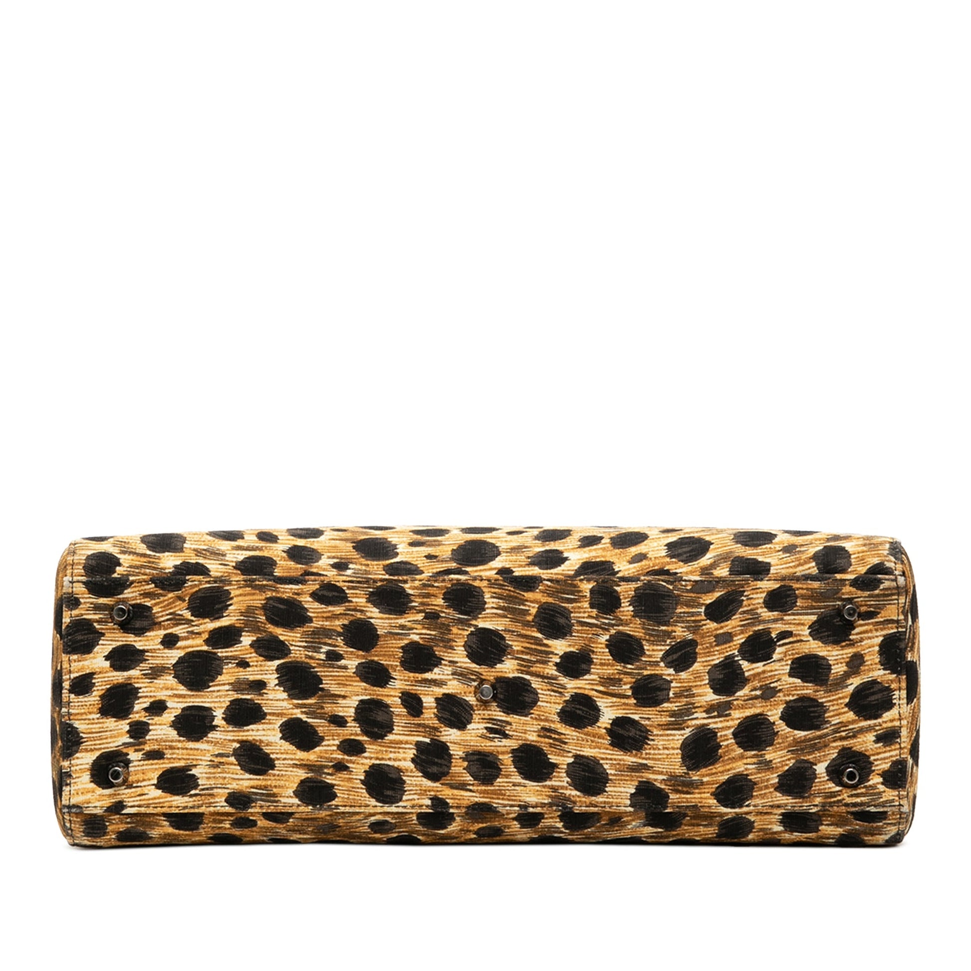 Brown Dior Large Canvas Leopard Print Lady Dior Satchel