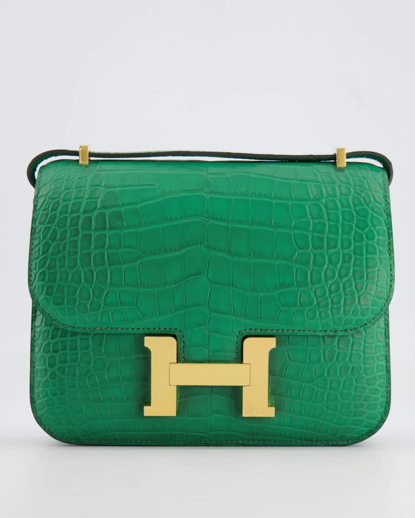 *STORE FRESH* Hermes Constance III 18 Bag in Cactus Alligator Mississippiensis Leather with Gold Hardware