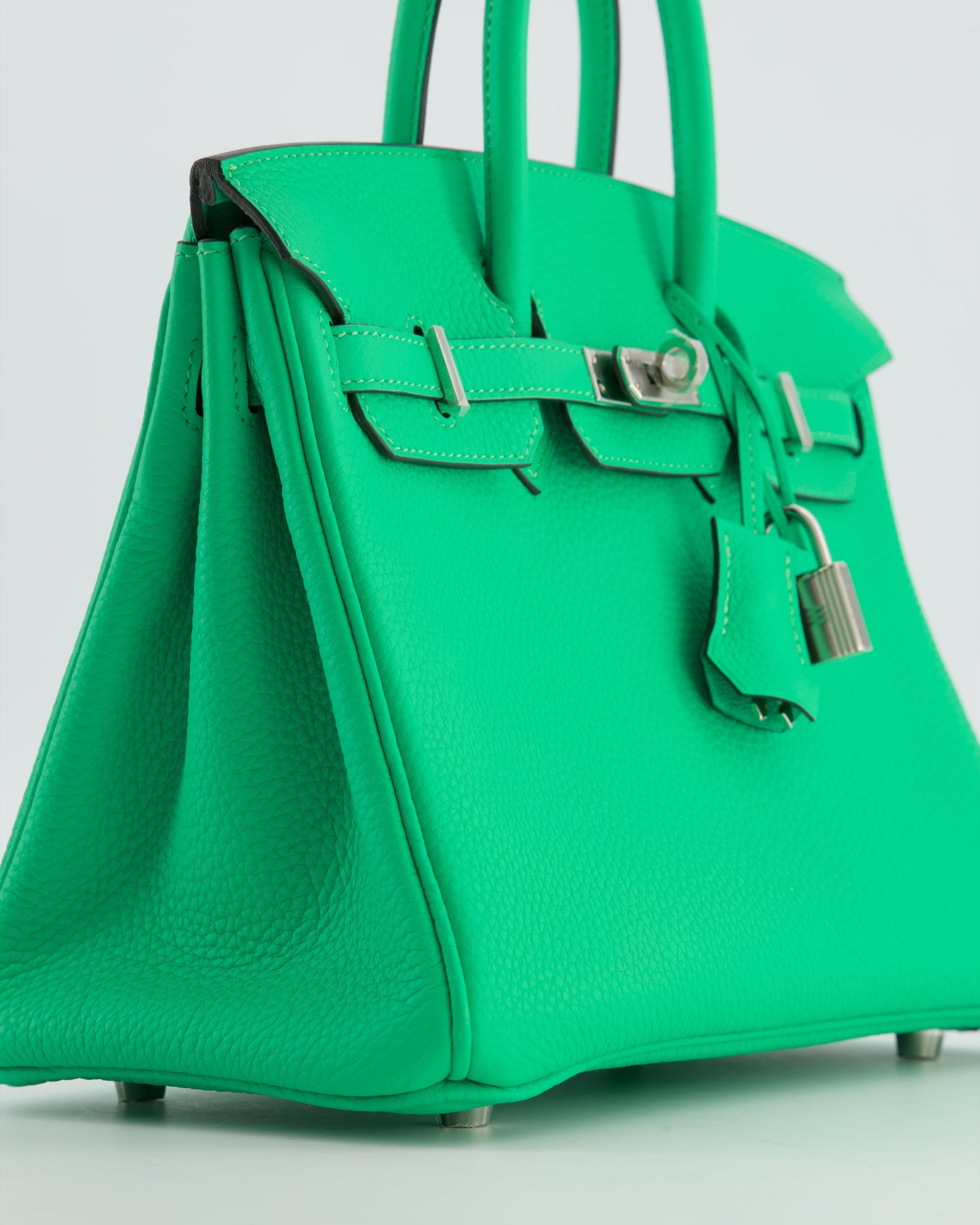 Hermes Birkin 25 Retourne Bag in Vert Comics Togo Leather with Palladium Hardware