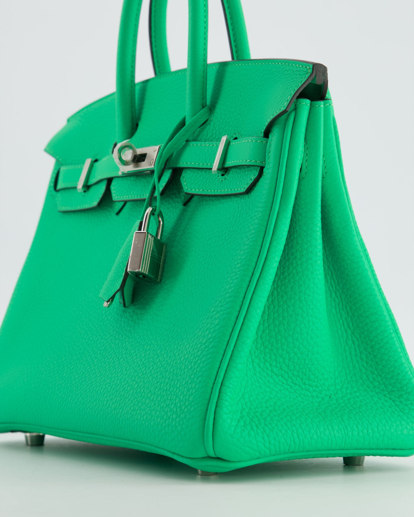 Hermes Birkin 25 Retourne Bag in Vert Comics Togo Leather with Palladium Hardware