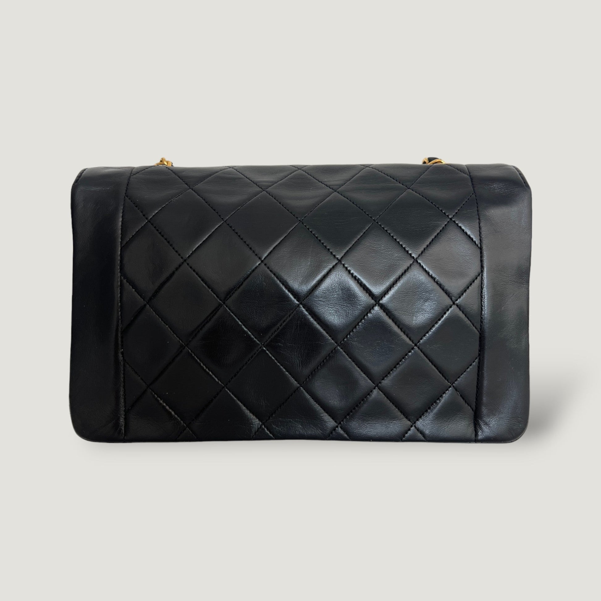 Chanel Diana Handbag Bag - Lynora Bags