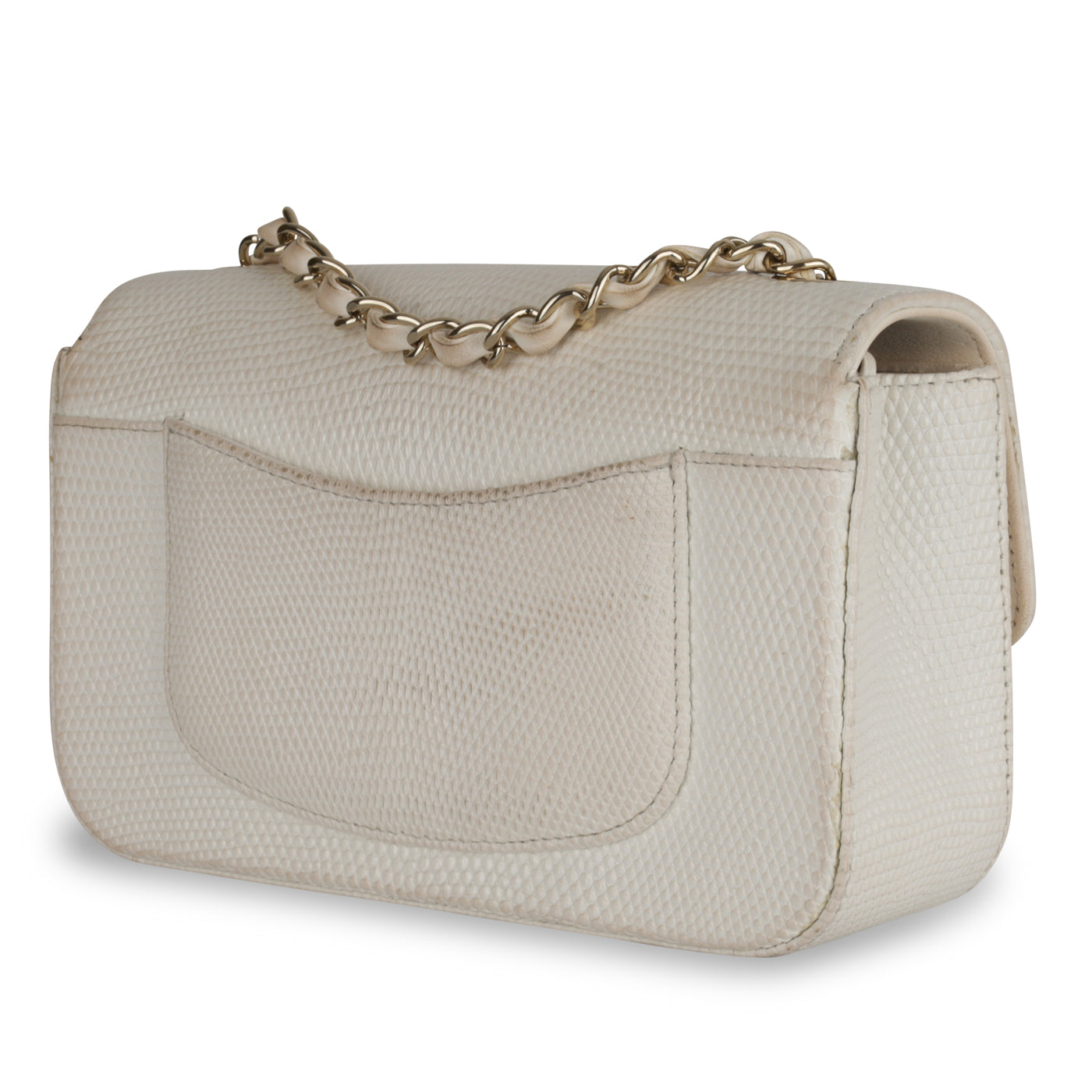 Chanel Lizard Flap Bag