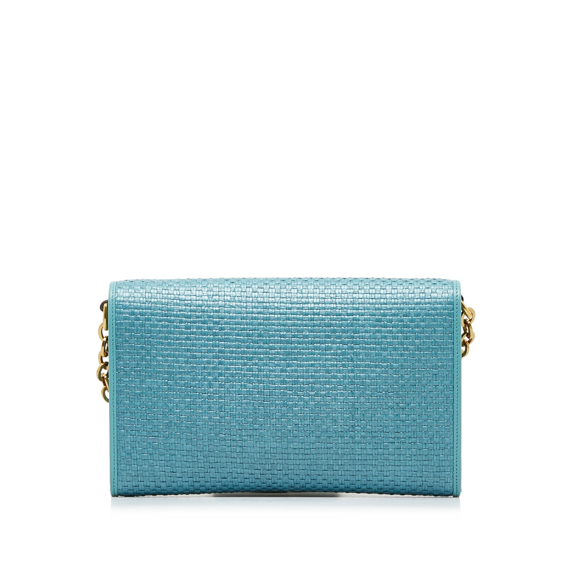 Gucci Chain Shoulder Bag