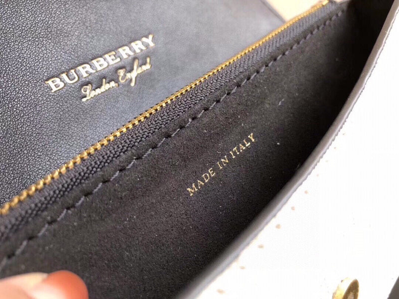 Burberry Bags 120