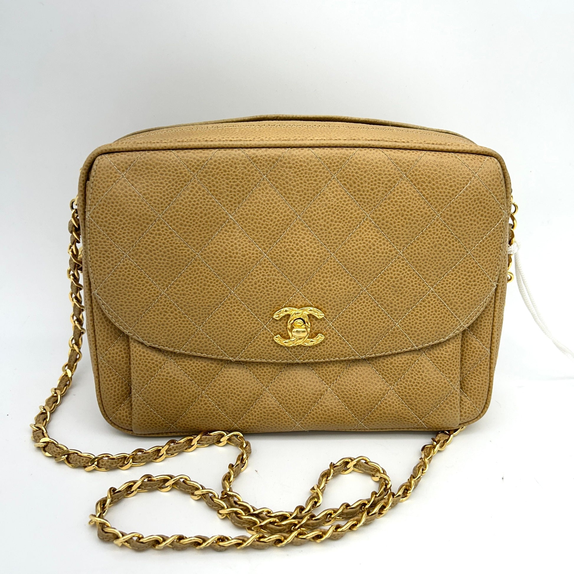 Chanel Cabian Skin Chevron Fringe Chain Shoulder Bag Leather LA29807