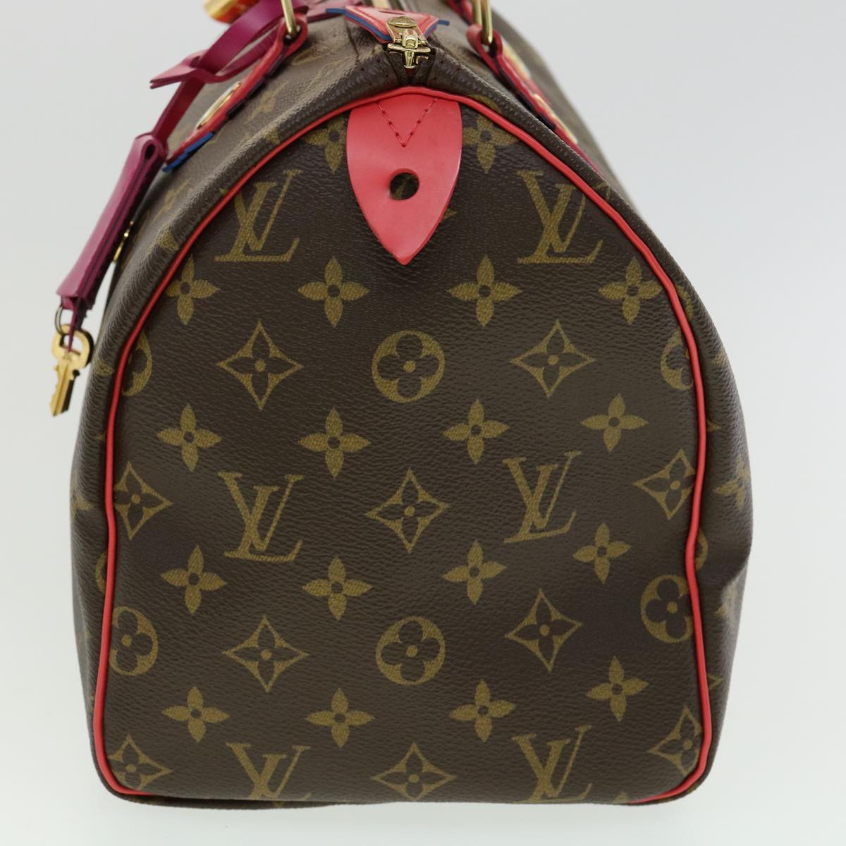 LOUIS VUITTON Monogram Totem Hand Bag LV Auth bs2099A