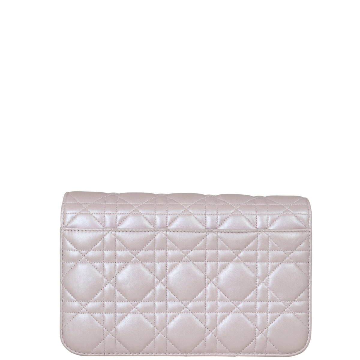 Dior Miss Dior Promenade Pouch