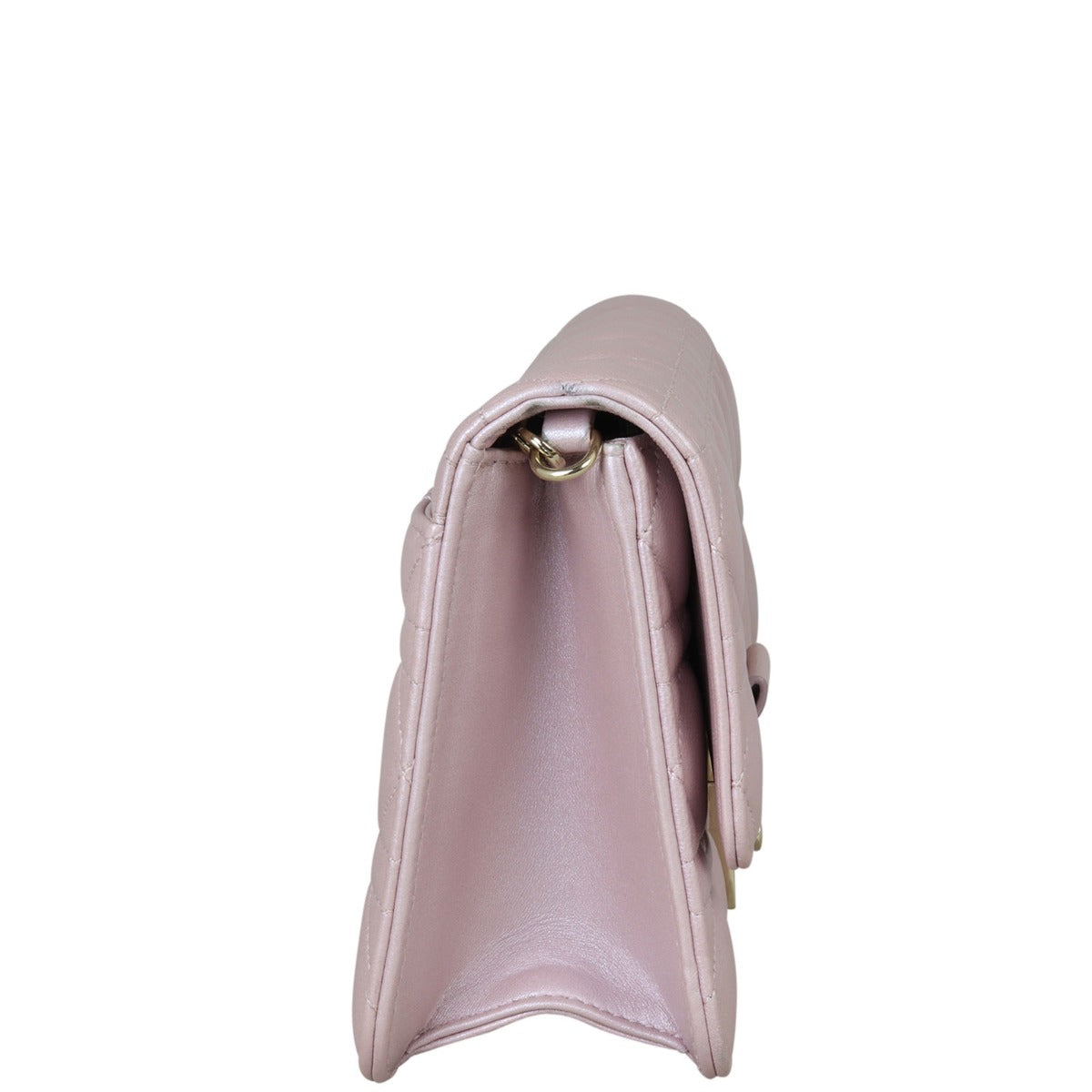 Dior Miss Dior Promenade Pouch