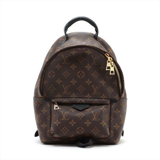 Louis Vuitton Monogram Palm Springs Backpack PM M41560