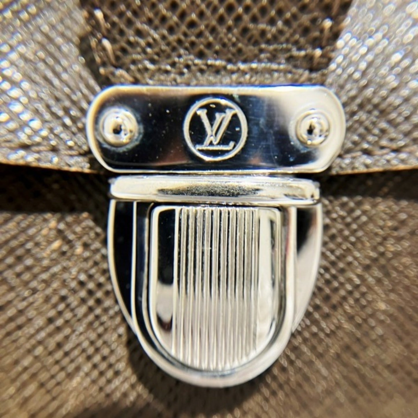 Louis Vuitton Taiga Leather Shoulder Bag