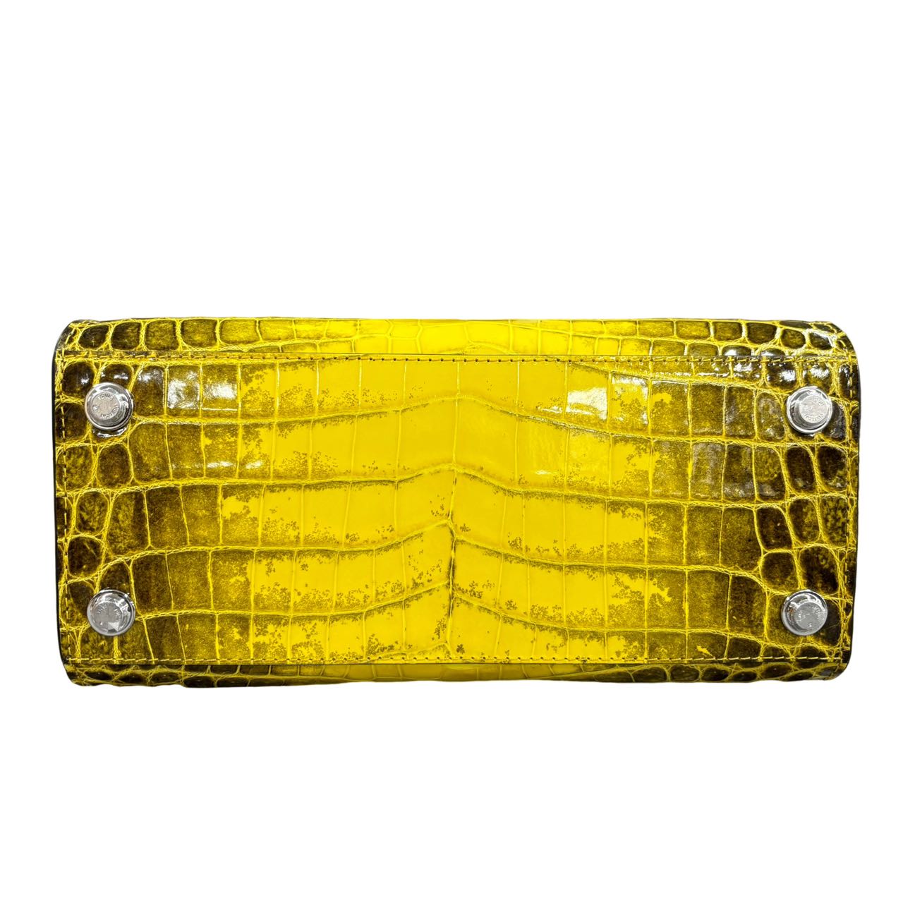 LOUIS VUITTON  Crocodile City Steamer PM