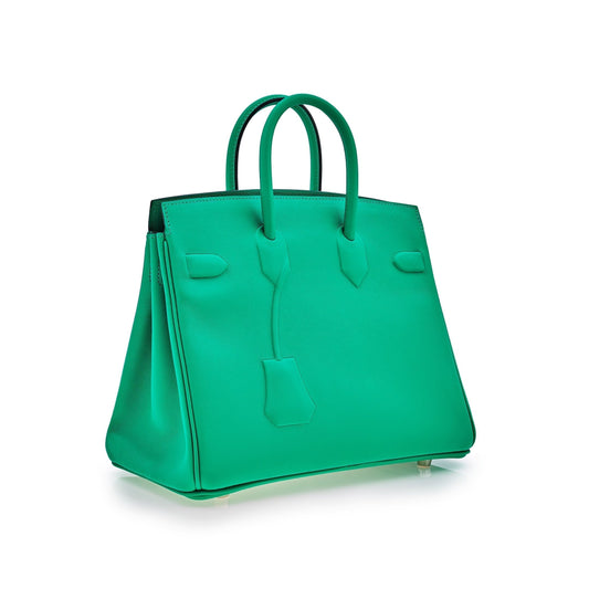 Luxury Hermes Birkin 25 Shadow Bag Menthe Swift Leather