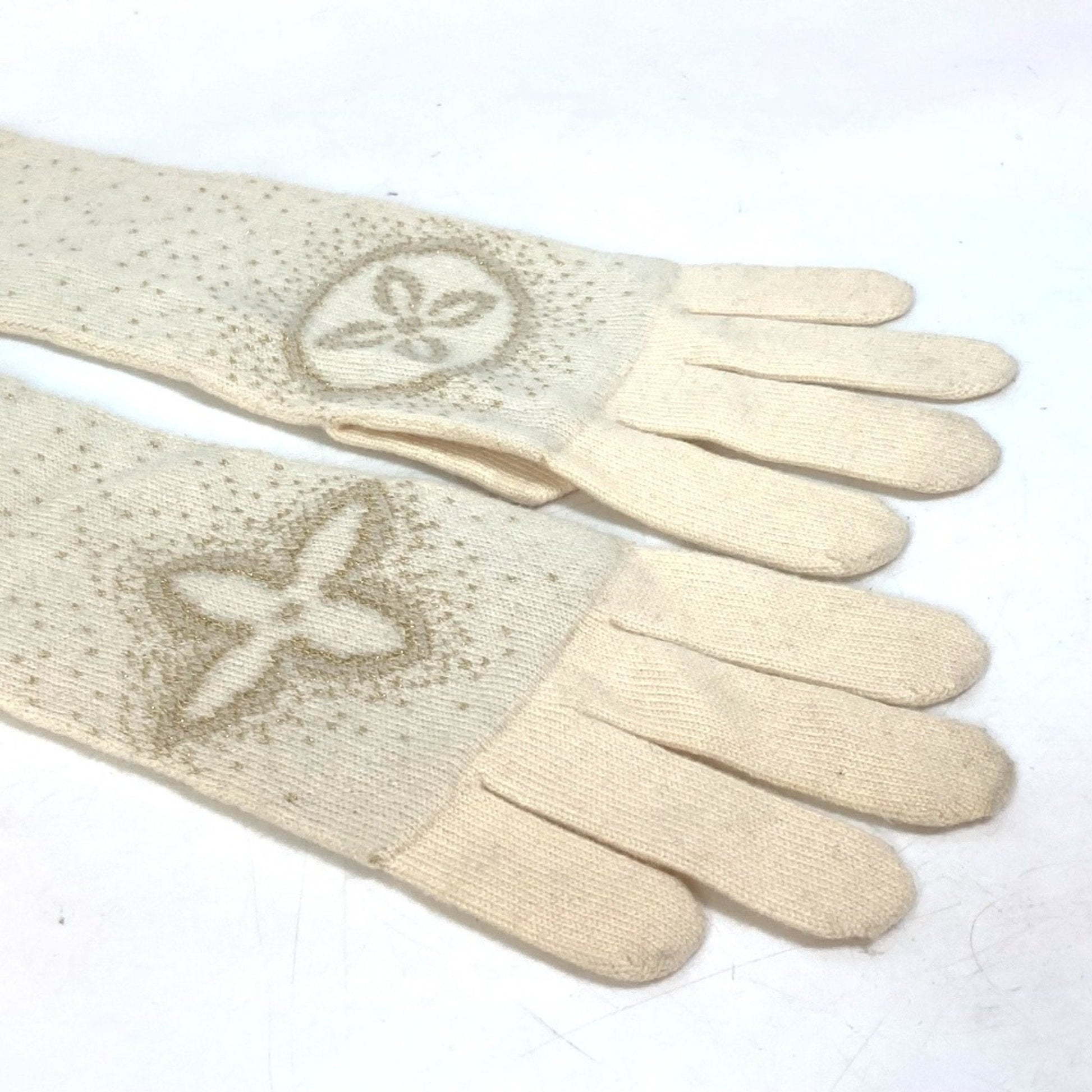 Louis Vuitton Other Warm Gloves Crossbody