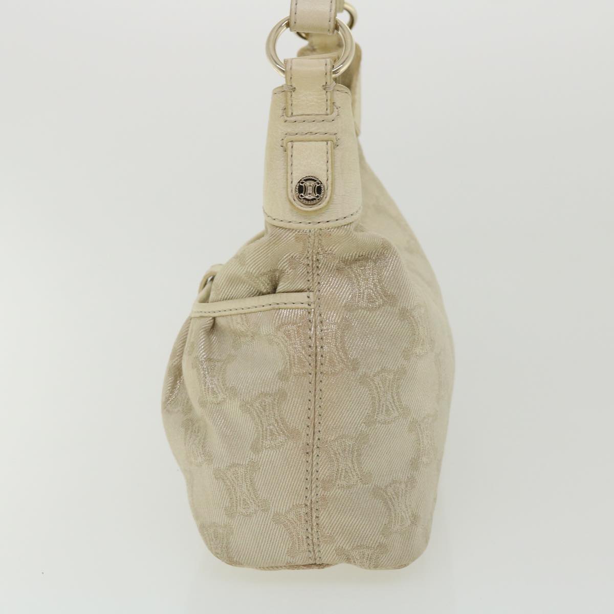 Luxury CELINE Macadam Canvas Shoulder Bag Beige fm1927