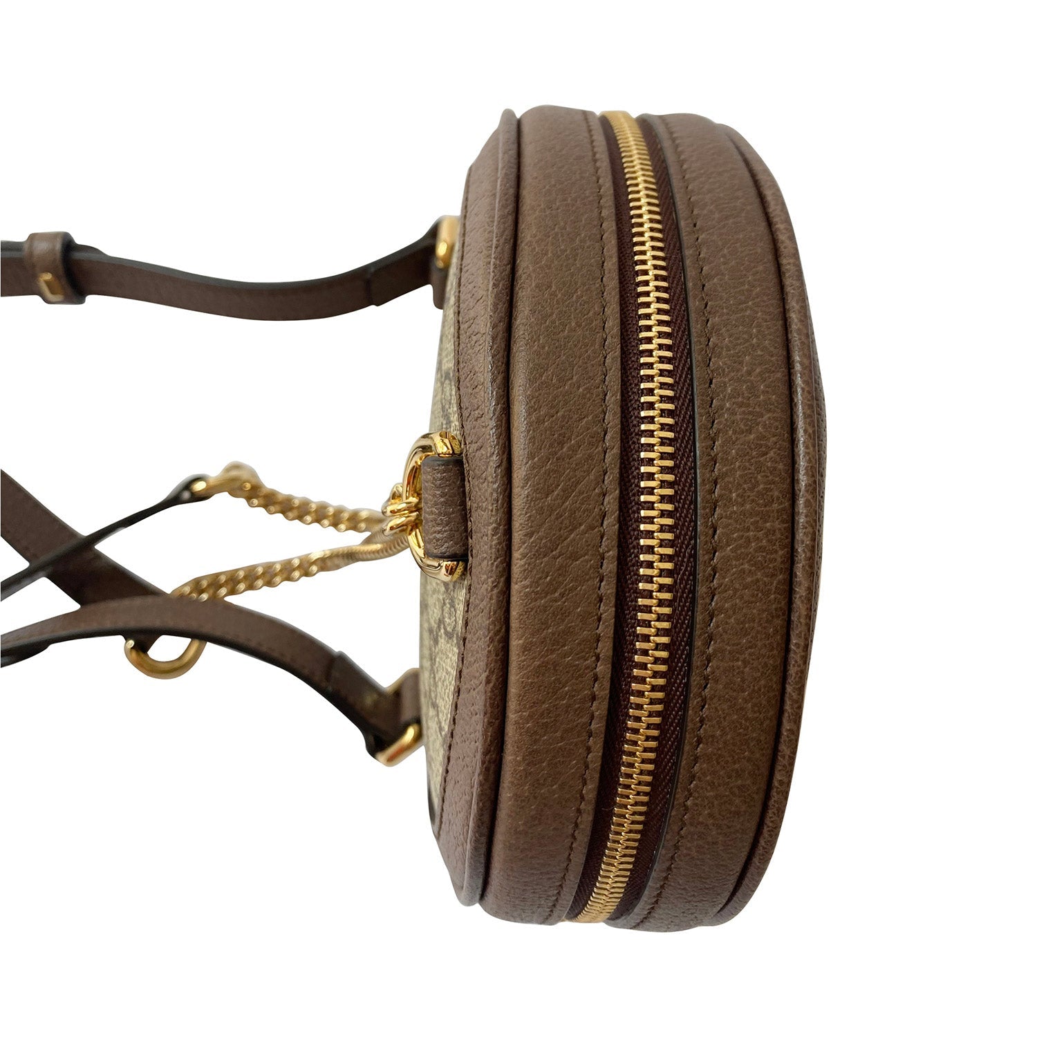 Gucci Ophidia Leather Chain Shoulder Bag Style 1