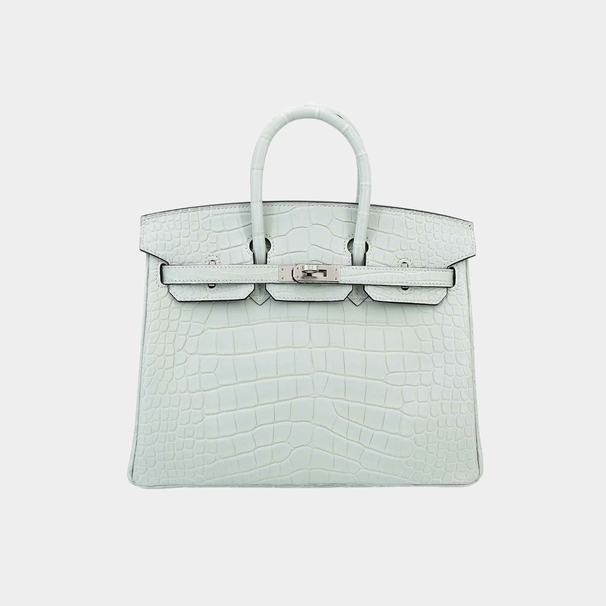 Birkin 25 Matte Alligator Gris Neve PHW