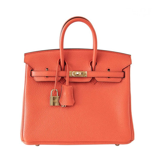 HermesBirkin 25 Bag Orange Poppy Gold Hardware