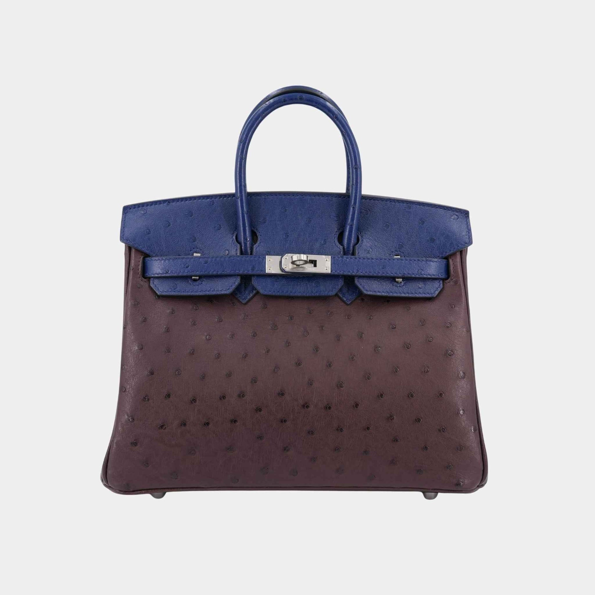 Birkin 25 Ostrich Rouge Sellier/ Bleu Iris PHW
