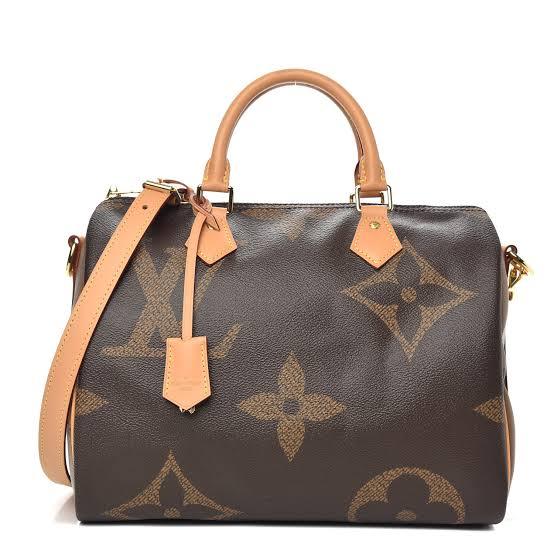 Louis Vuitton Giant Monogram Bag