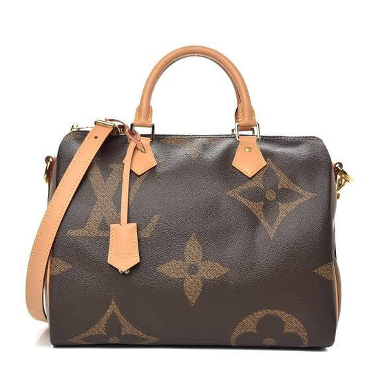 Louis Vuitton Giant Monogram Bag