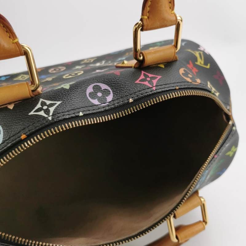 Louis Vuitton Multicolor Black Bag