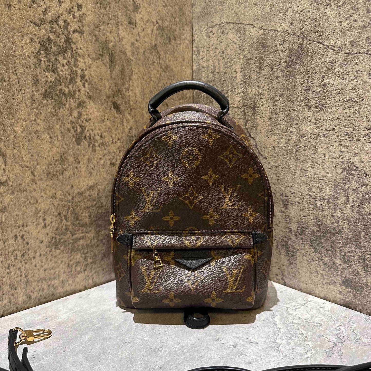 Louis Vuitton backpack bag microchip