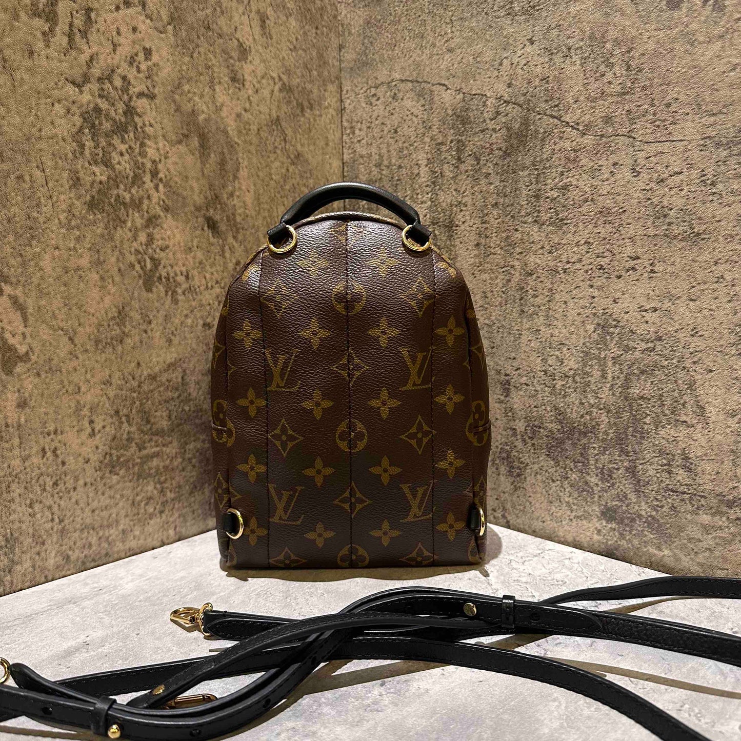 Louis Vuitton backpack bag microchip