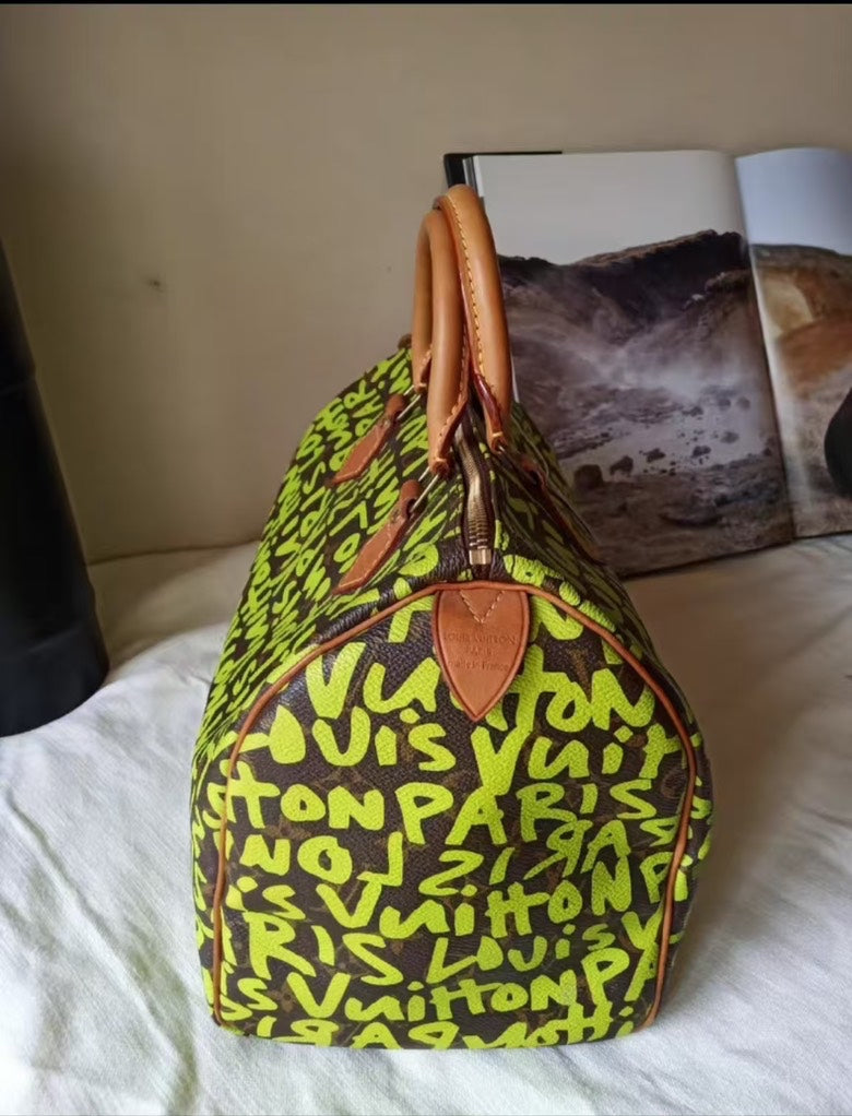 Louis Vuitton murakami bag