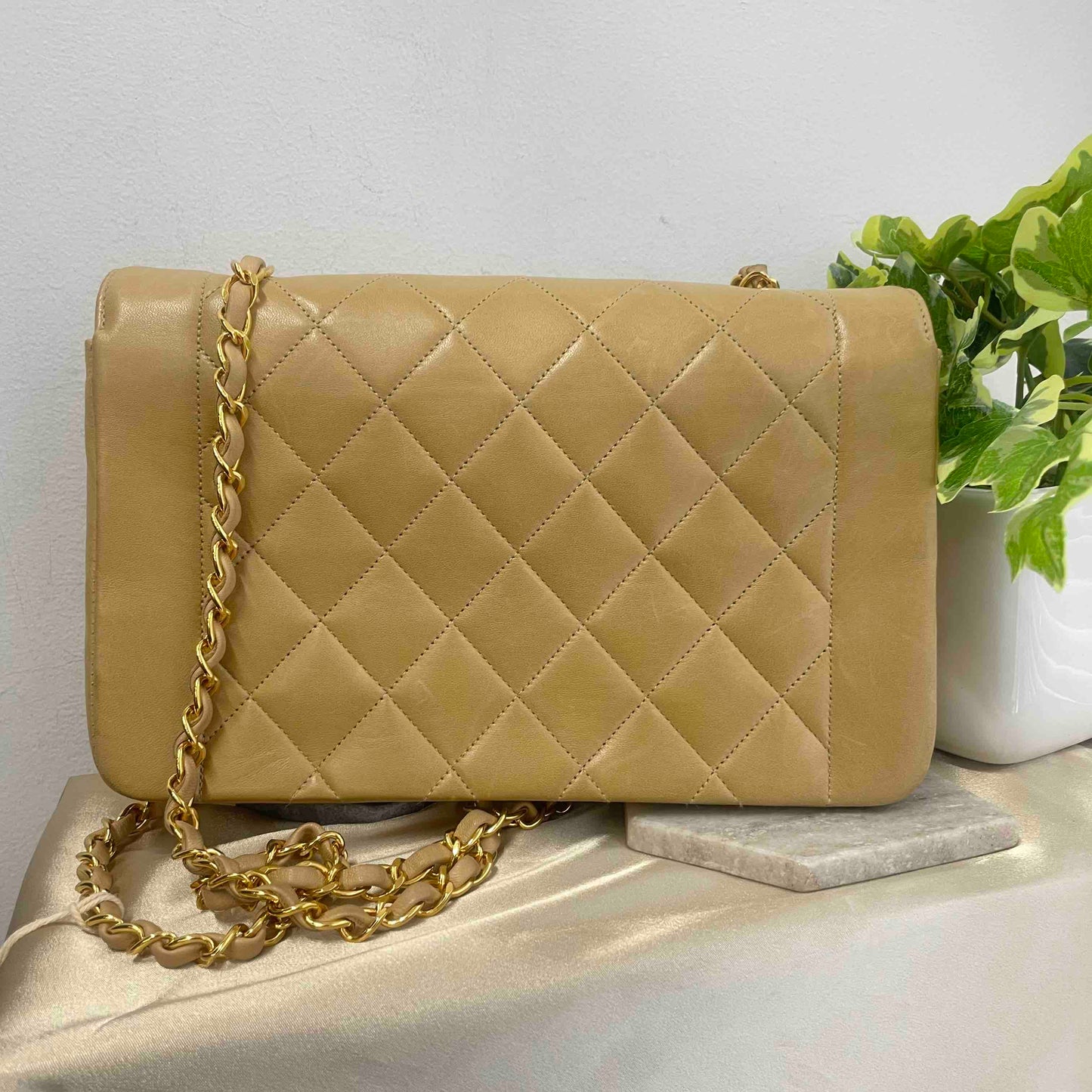 Chanel Diana Shoulder Bag - Lynora Bags