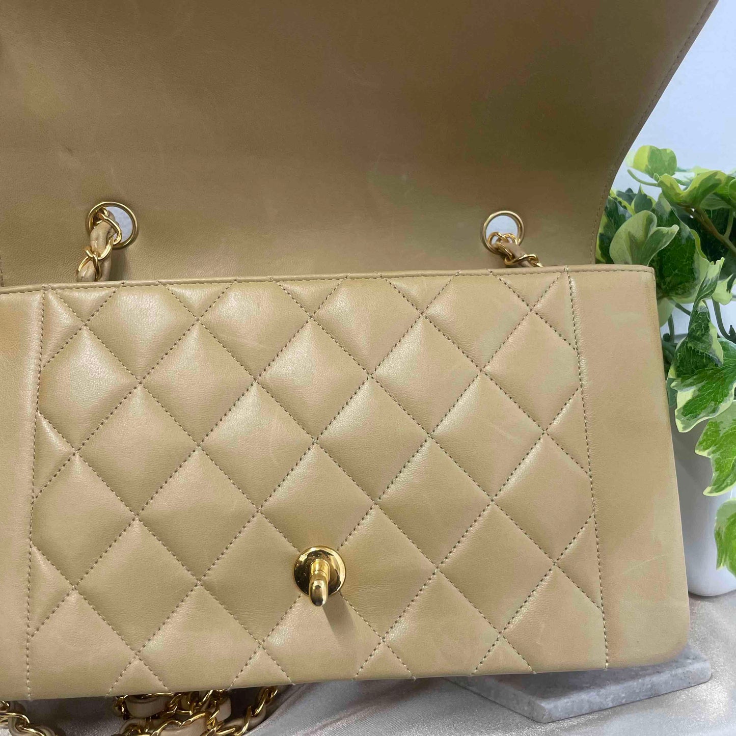 Chanel Diana Shoulder Bag - Lynora Bags