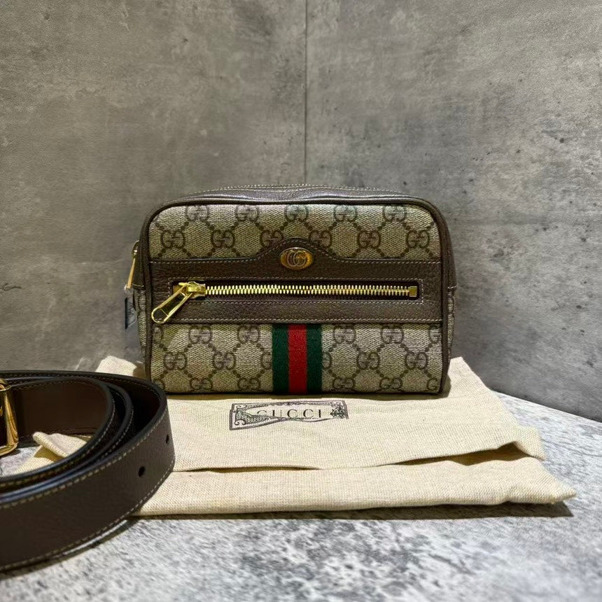 Gucci bumbag monogram