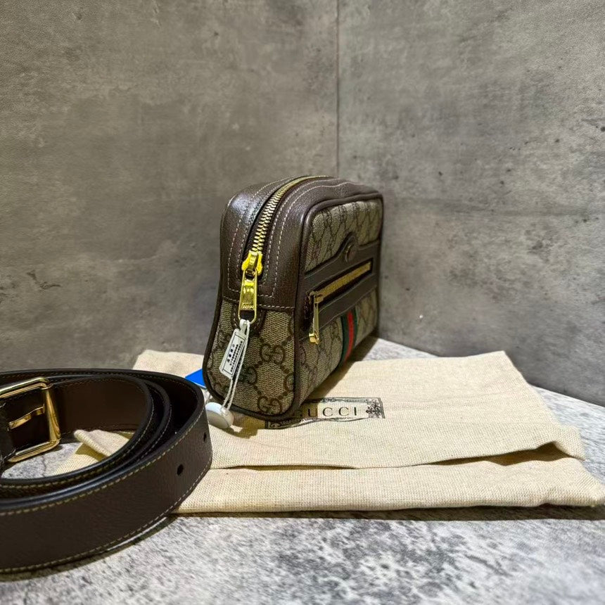 Gucci bumbag monogram