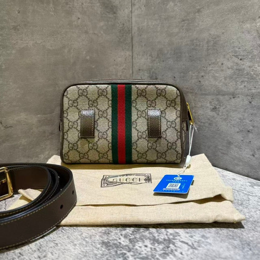 Gucci bumbag monogram