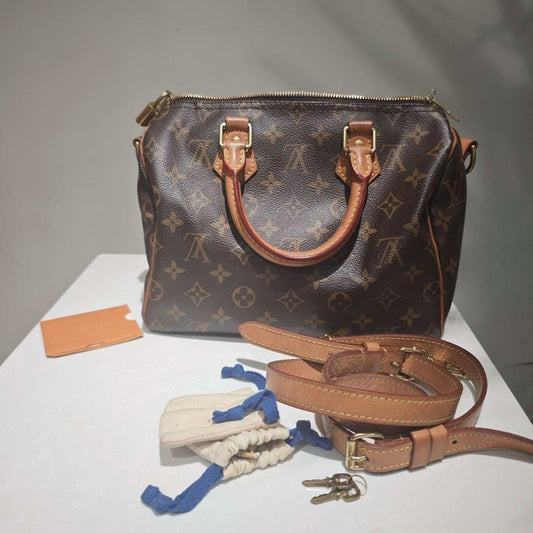 Louis Vuitton Monogram Canvas Brown Top Handle Bag