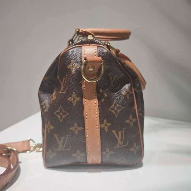 Louis Vuitton Monogram Canvas Brown Top Handle Bag